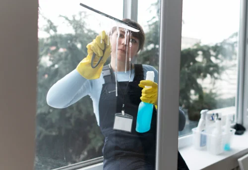 Nettoyage de vitres intérieures et extérieures à Saint-Aubin-d'Appenai